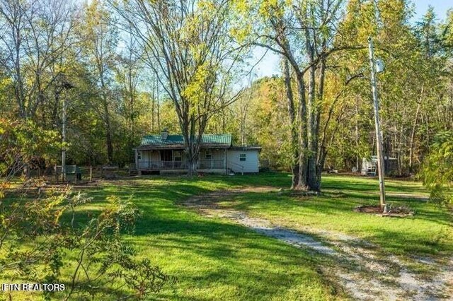 view of yard featuring driveway and a view of trees