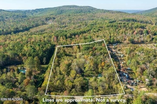 drone / aerial view featuring a mountain view and a view of trees