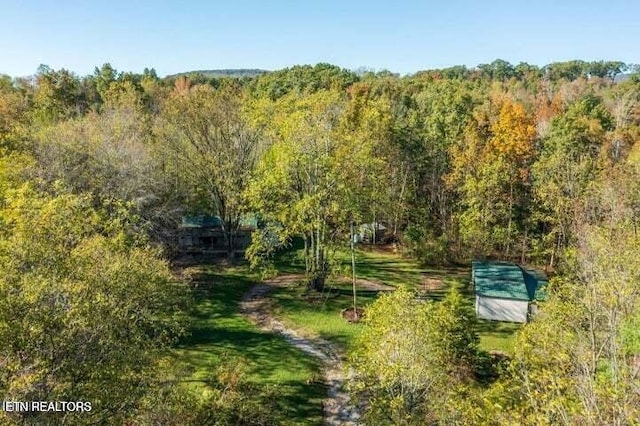 bird's eye view with a wooded view