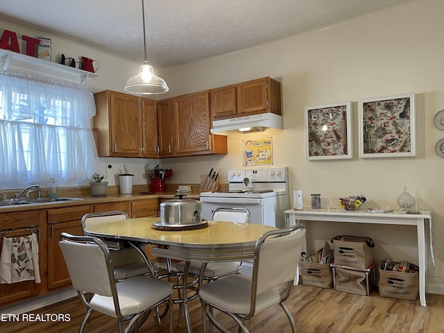 kitchen with light wood finished floors, white electric stove, a sink, under cabinet range hood, and brown cabinets