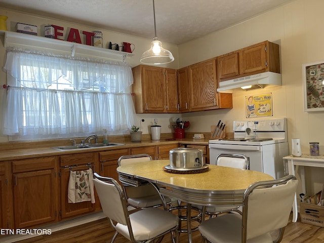 kitchen with electric range, brown cabinets, under cabinet range hood, a sink, and light countertops