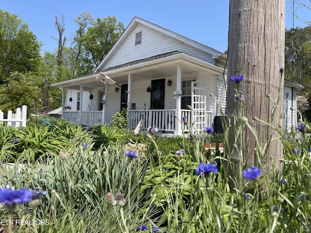 bungalow-style house featuring covered porch