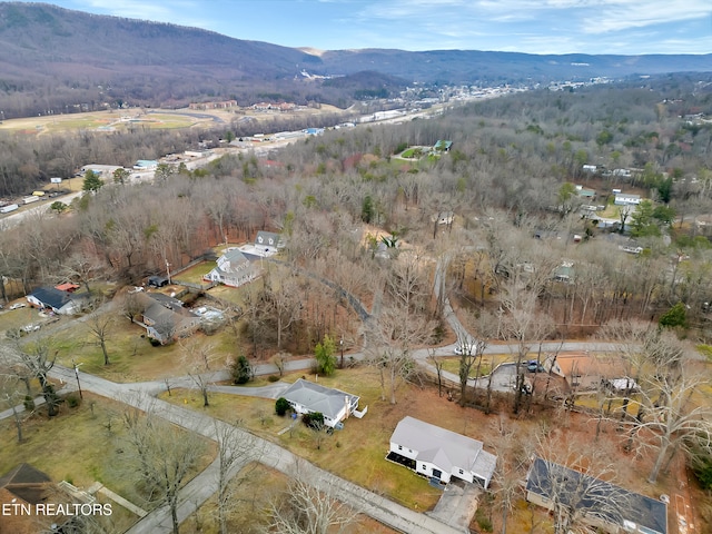 birds eye view of property featuring a mountain view