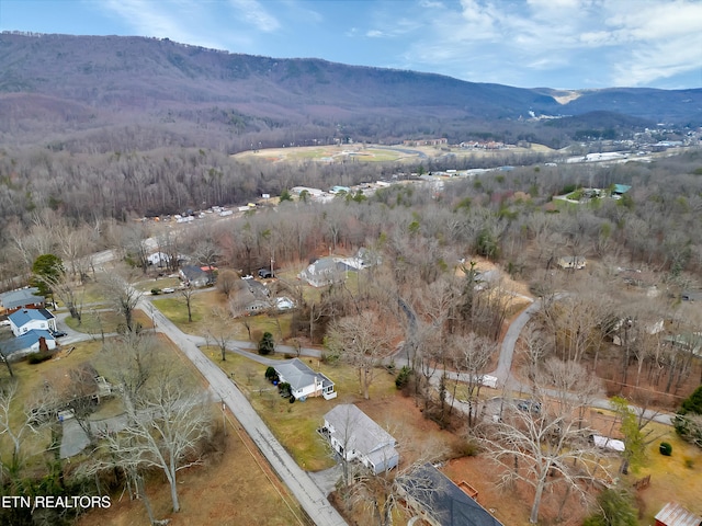 birds eye view of property featuring a mountain view