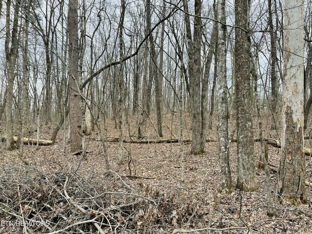 19A Burchett Dr, Crossville, TN 38572 - photo 7