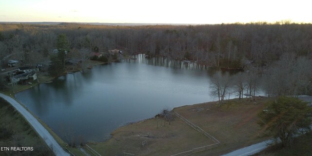 19A Burchett Dr, Crossville, TN 38572 - photo 10