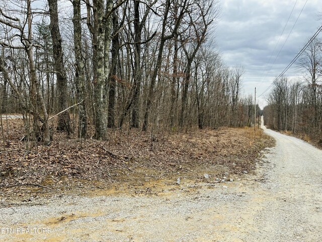 1 Diane Cir, Crossville, TN 38572 - photo 3