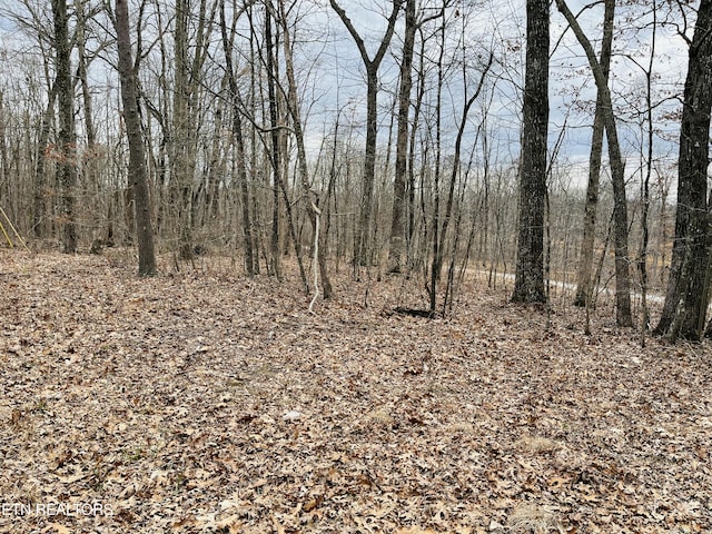 1 Diane Cir, Crossville, TN 38572 - photo 6
