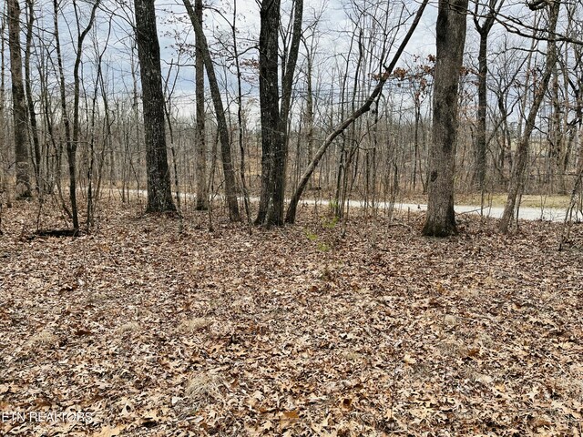 1 Diane Cir, Crossville, TN 38572 - photo 7