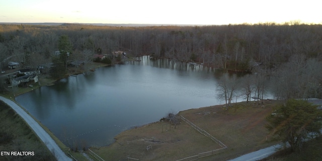 1 Diane Cir, Crossville, TN 38572 - photo 12