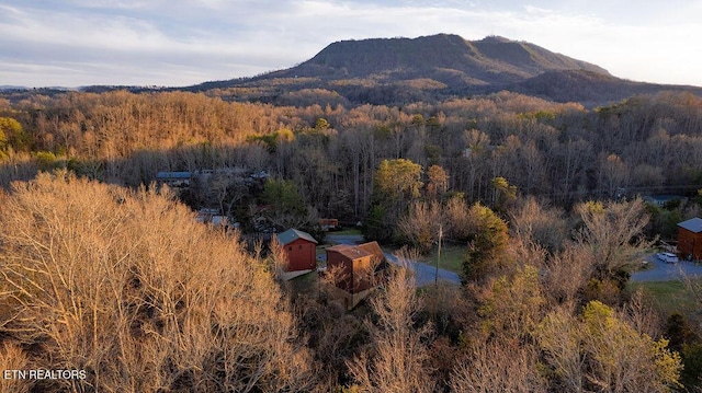 mountain view with a wooded view