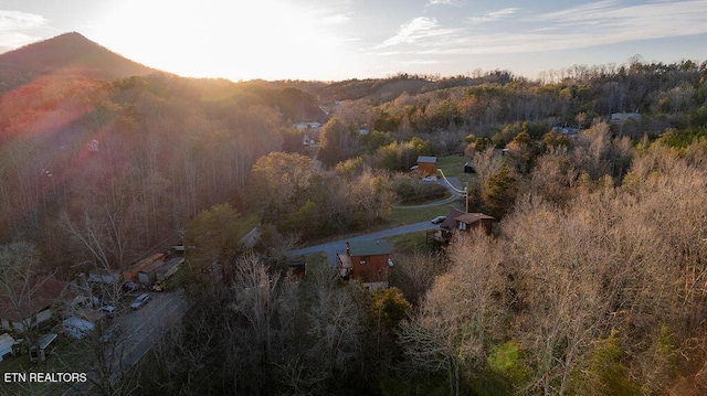 drone / aerial view featuring a mountain view and a wooded view