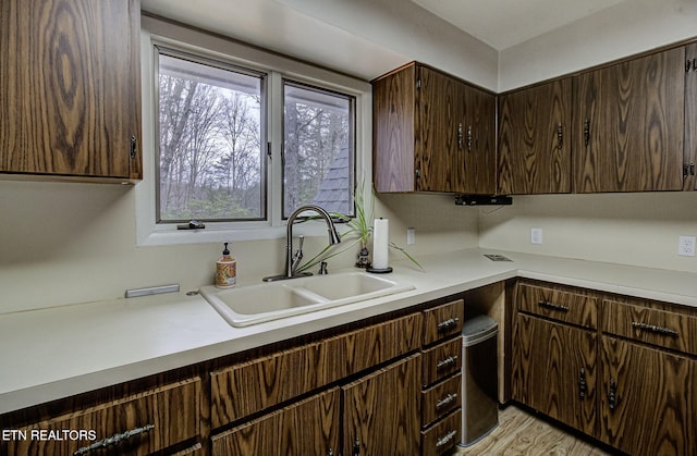 kitchen with a sink, light wood-type flooring, dark brown cabinetry, and light countertops