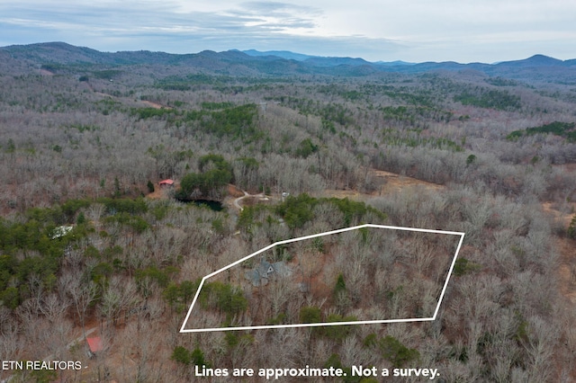 drone / aerial view featuring a mountain view