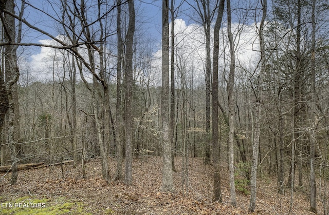 view of landscape with a forest view