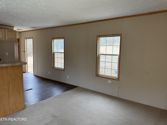 interior space featuring ornamental molding, a healthy amount of sunlight, visible vents, and a textured ceiling