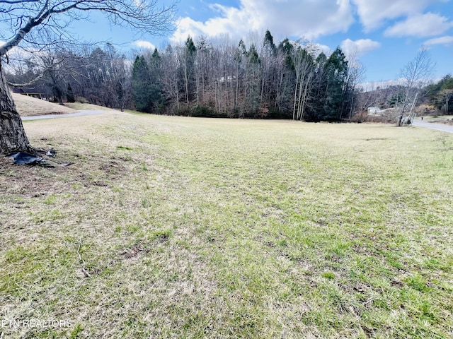 view of yard featuring a view of trees