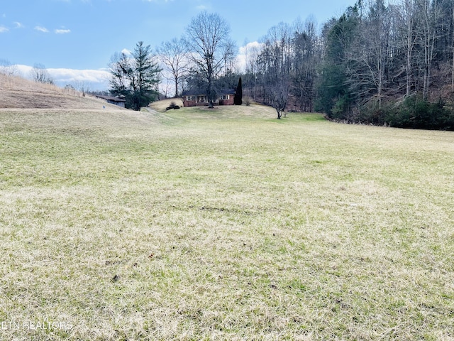 view of yard featuring a rural view