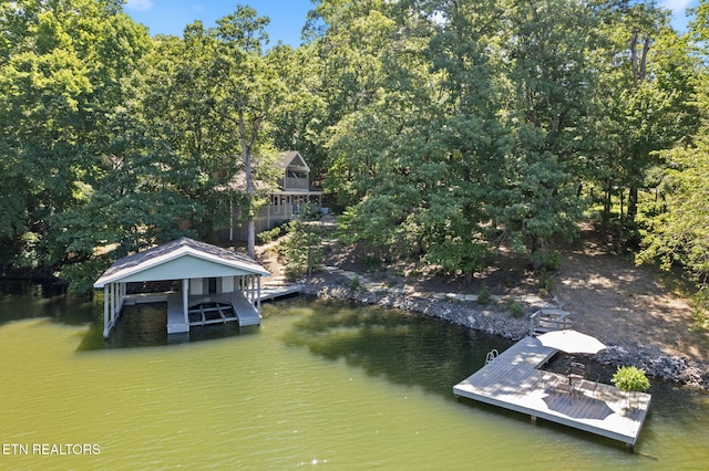 dock area with a water view