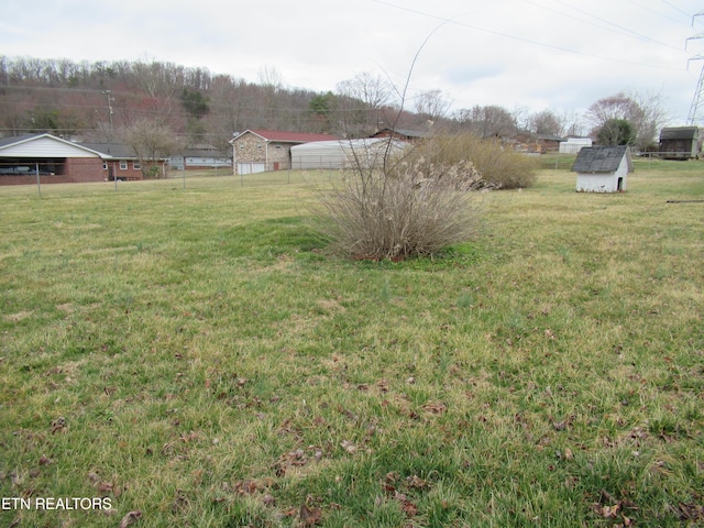 view of yard with an outbuilding and a shed