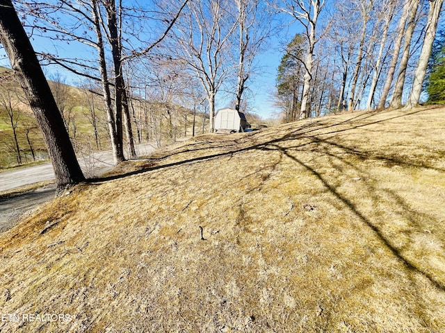 view of yard featuring a shed and an outdoor structure