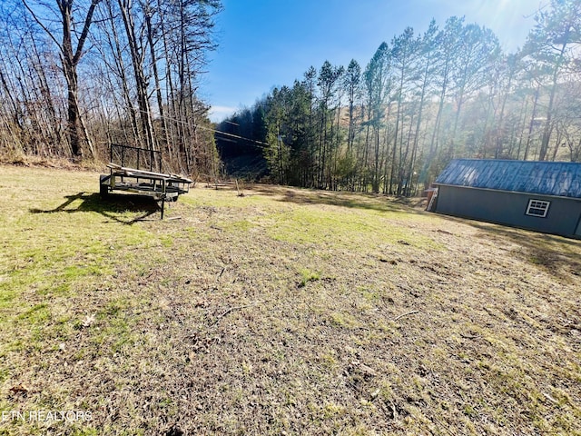 view of yard with an outbuilding and an outdoor structure