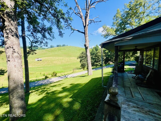 533 Mayes Town Rd, Speedwell, TN 37870 - photo 16