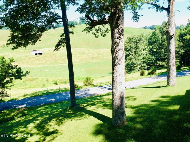 533 Mayes Town Rd, Speedwell, TN 37870 - photo 17