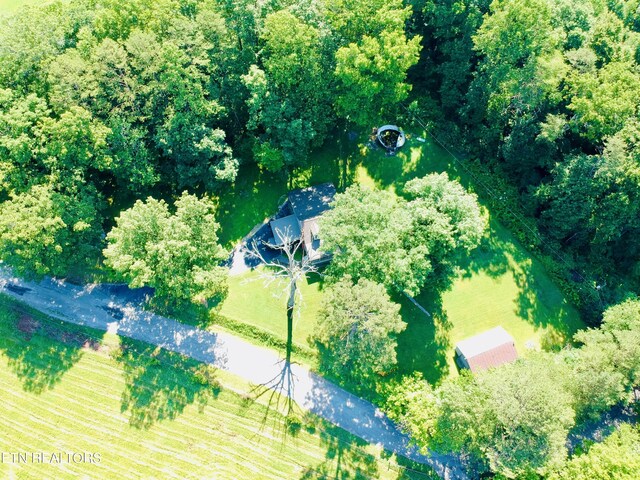 533 Mayes Town Rd, Speedwell, TN 37870 - photo 27