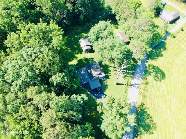 533 Mayes Town Rd, Speedwell, TN 37870 - photo 28