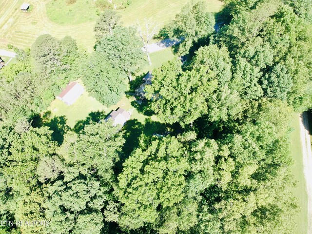 533 Mayes Town Rd, Speedwell, TN 37870 - photo 29