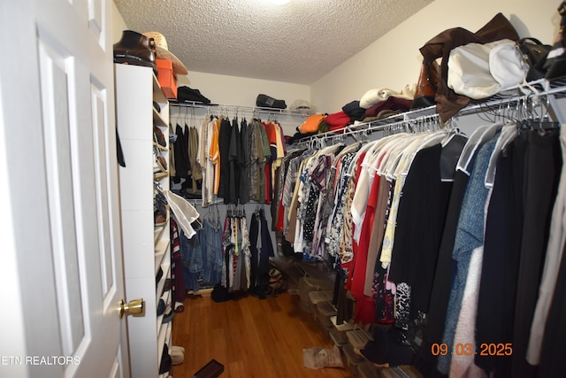 spacious closet featuring wood finished floors