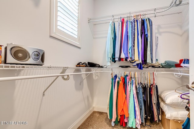 walk in closet featuring carpet flooring