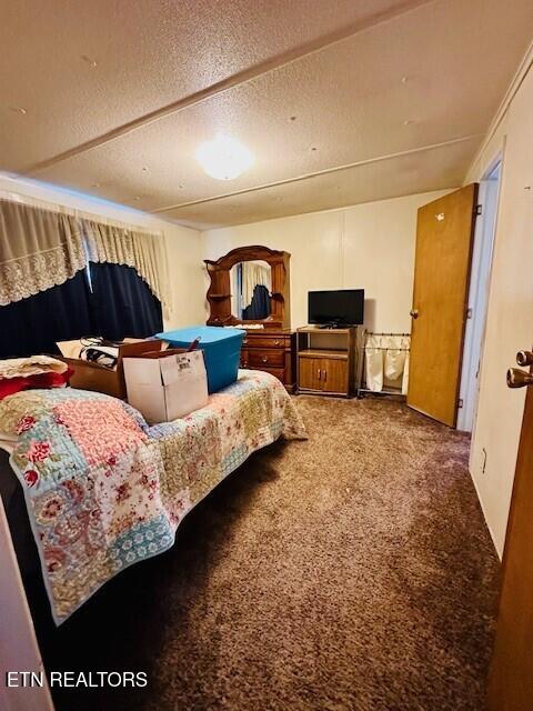 4637 Nails Creek Rd, Rockford, TN 37853 - carpeted bedroom featuring a textured ceiling