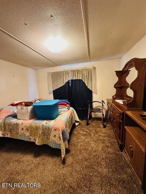 4637 Nails Creek Rd, Rockford, TN 37853 - bedroom with carpet and a textured ceiling