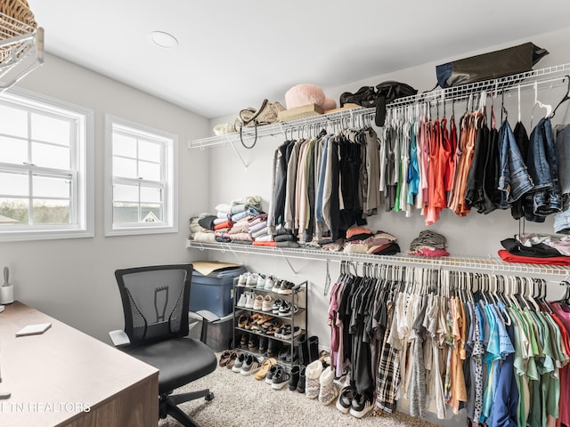 view of spacious closet