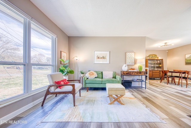 living room featuring baseboards, a textured ceiling, and wood finished floors