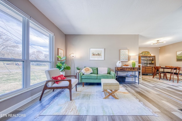 living area with baseboards, a textured ceiling, and wood finished floors