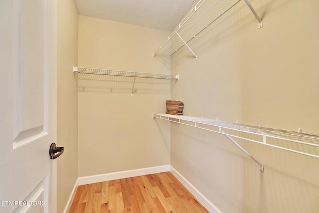 walk in closet featuring light wood-style floors