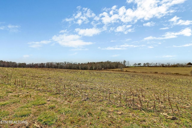 view of landscape with a rural view