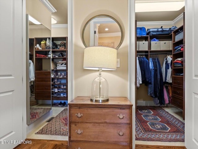 view of walk in closet