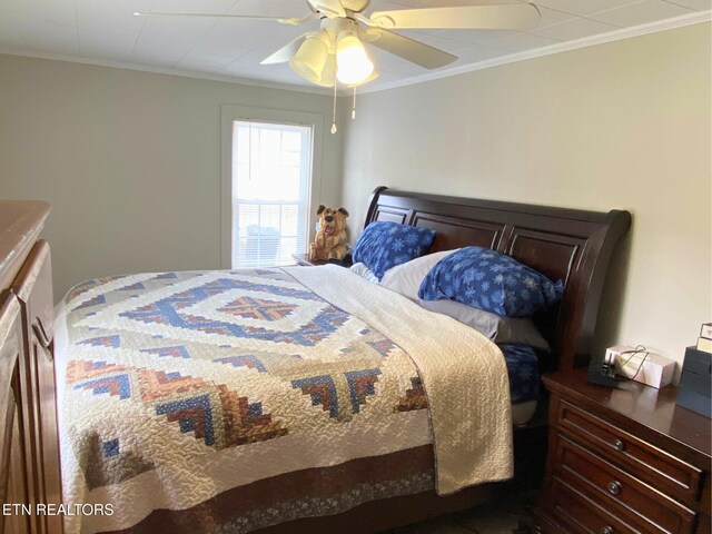 5446 Dogwood Rd, Grandview, TN 37337 - photo 12