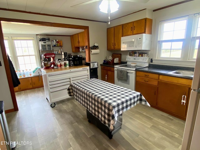 5446 Dogwood Rd, Grandview, TN 37337 - photo 9