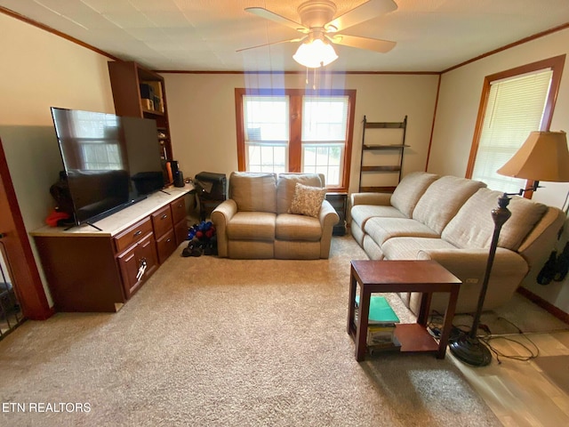 5446 Dogwood Rd, Grandview, TN 37337 - photo 8