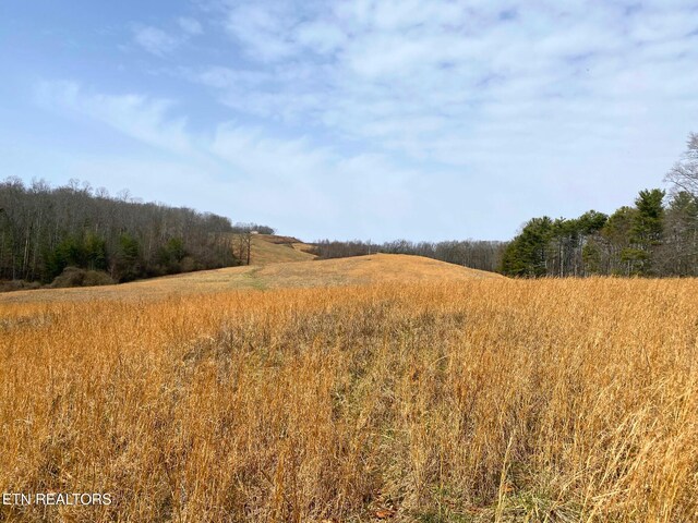5446 Dogwood Rd, Grandview, TN 37337 - photo 24
