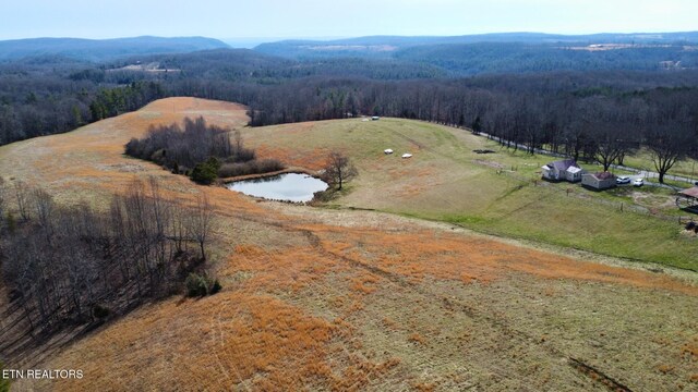 5446 Dogwood Rd, Grandview, TN 37337 - photo 39