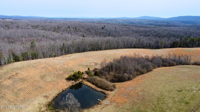5446 Dogwood Rd, Grandview, TN 37337 - photo 40