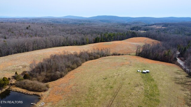 5446 Dogwood Rd, Grandview, TN 37337 - photo 41