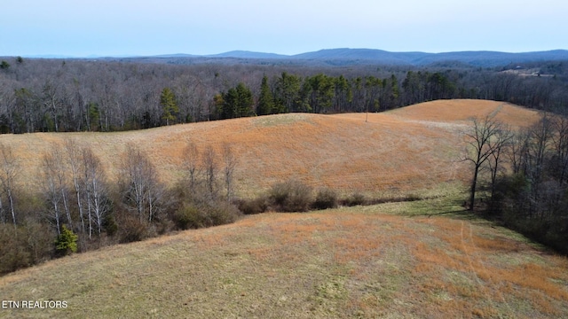 5446 Dogwood Rd, Grandview, TN 37337 - photo 42