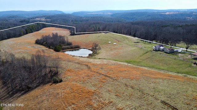 5446 Dogwood Rd, Grandview, TN 37337 - photo 43